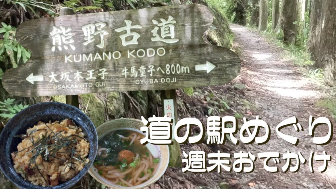 【道の駅めぐり#32】和歌山県 熊野古道を歩く | 道の駅：熊野古道 中辺路・ふるさとセンター大塔 | 推し→熊野古道 中辺路【vlog】