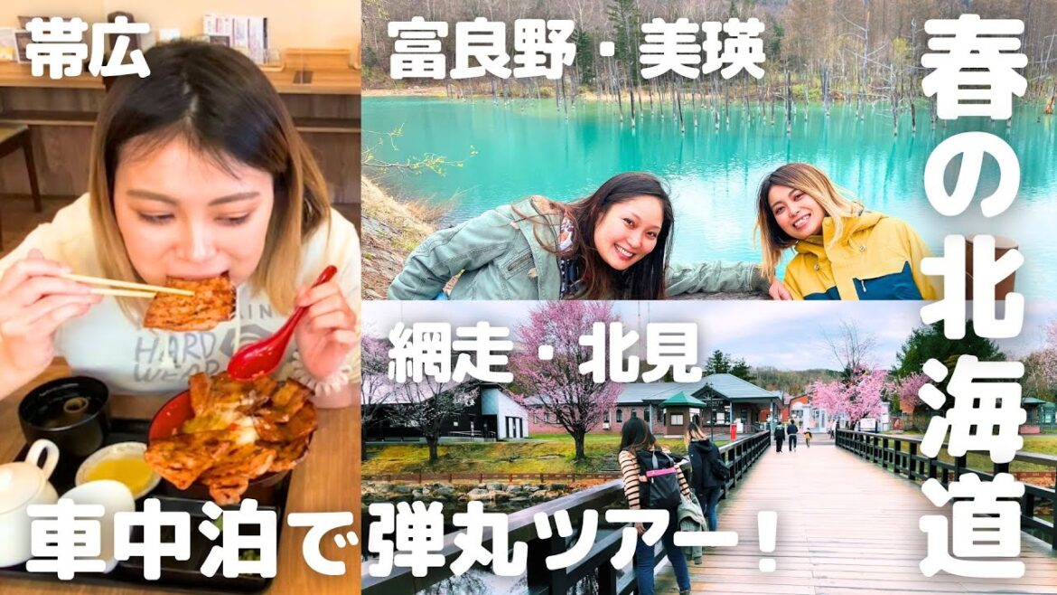 1200km走破！？4泊5日北海道旅行✈️｜帯広･厚岸･富良野･美瑛･網走･北見｜美味しいものたくさんの総集編🦀｜