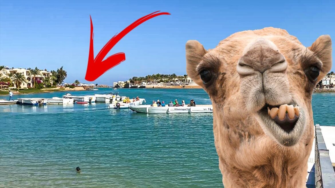 Arrived at the resort of millionaires - El Gouna