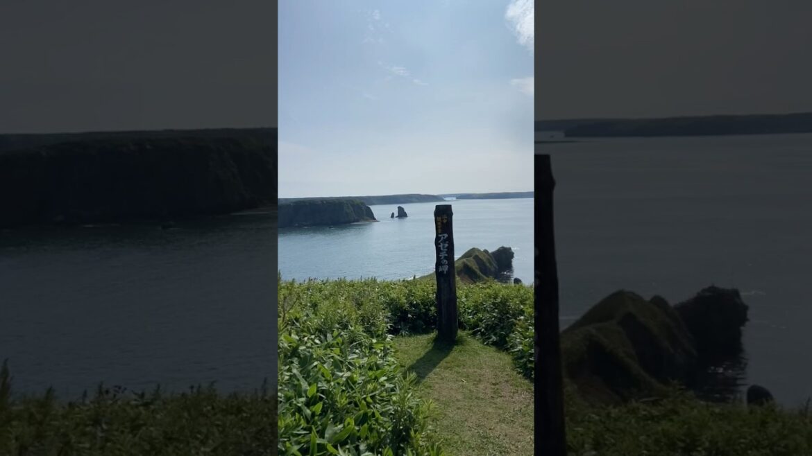 夏のアゼチの岬　#浜中町 #北海道 #道東 #旅行 #絶景