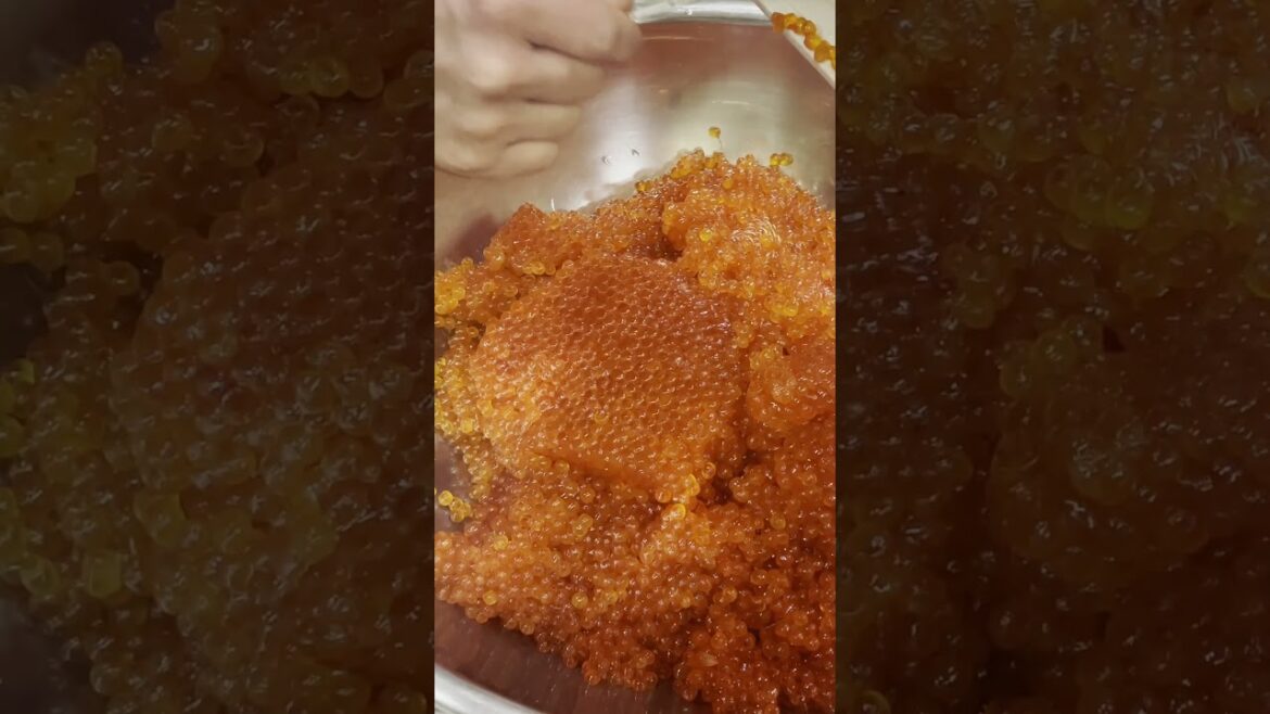 Great Japanese sea food