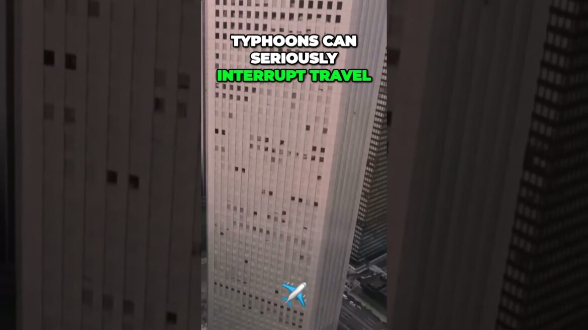 Unleashing the Power of Typhoon Season in Okinawa!🌪️⛈️ #shorts #travel #japan