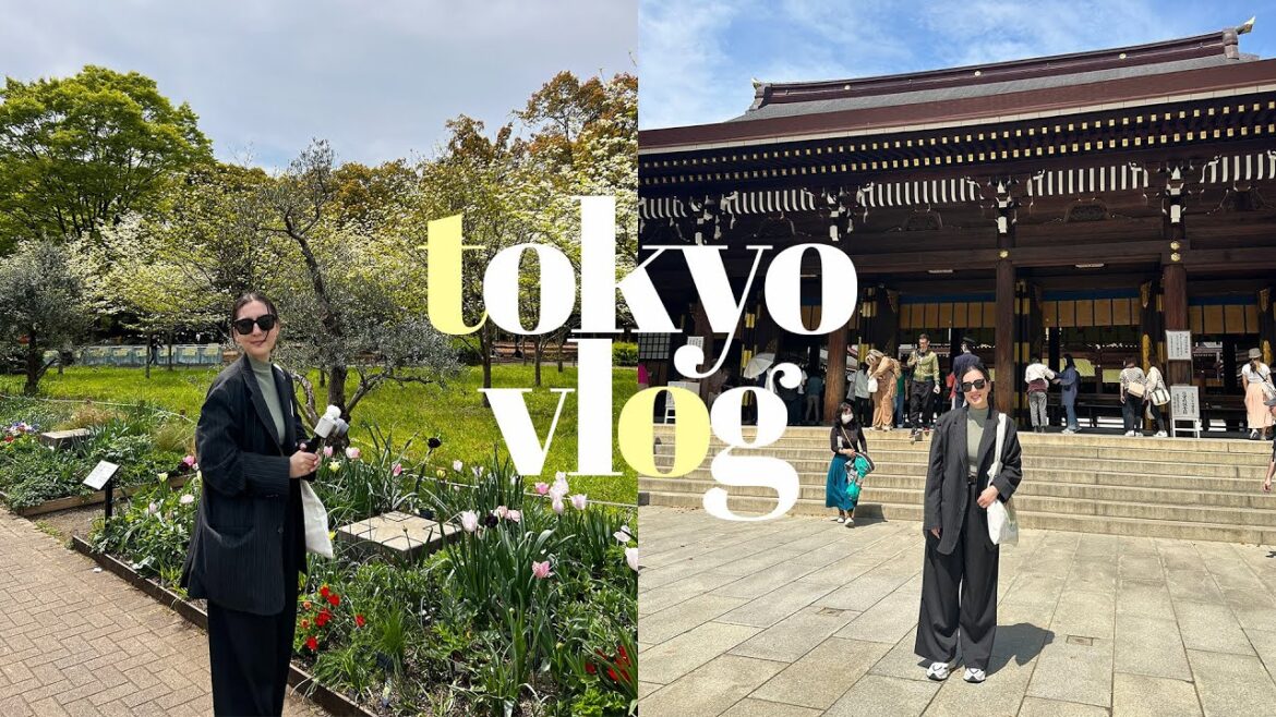 tokyo vlog 🇯🇵 the best designer thrift shopping, teamlabs, blind boxes, truffle bakery & fish market