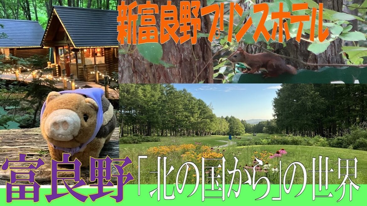 【富良野　魅力・見どこ紹介】山・森・スイーツ・名所・動物・絶景・ドラマ　Furano Introduction of attractions and places to see