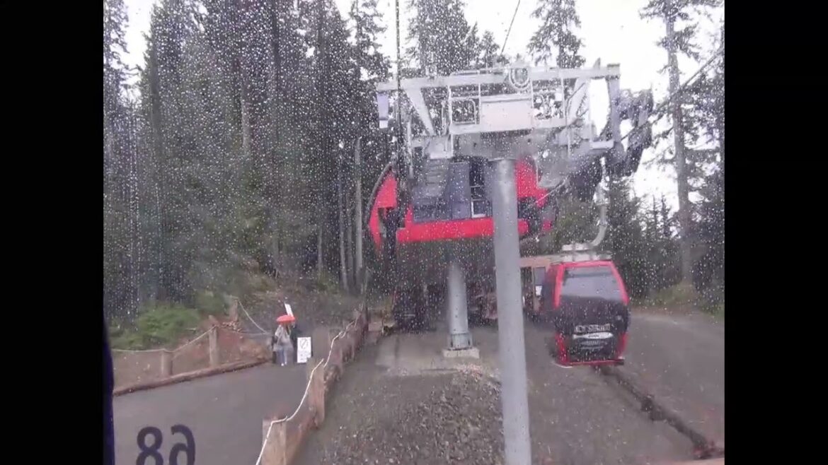 Alaska Cruise Excursion:  Icy Strait Point Tram and Gondola Ride