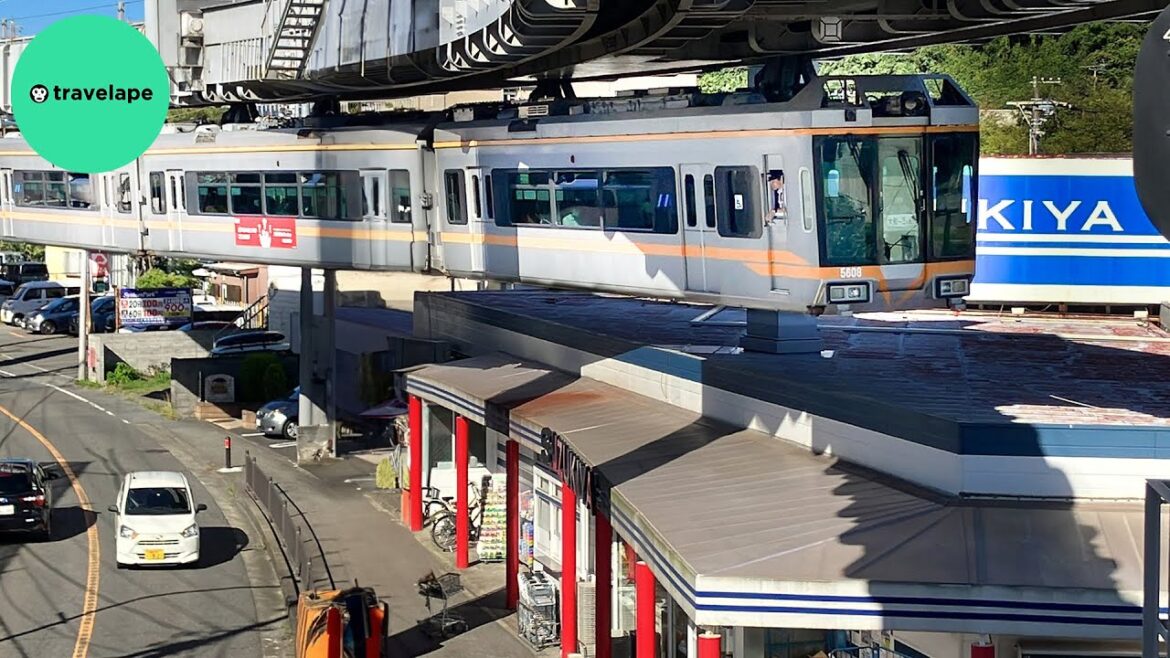Flying Train! Riding Japan's Scary Upside-Down Train | Shonan Monorail