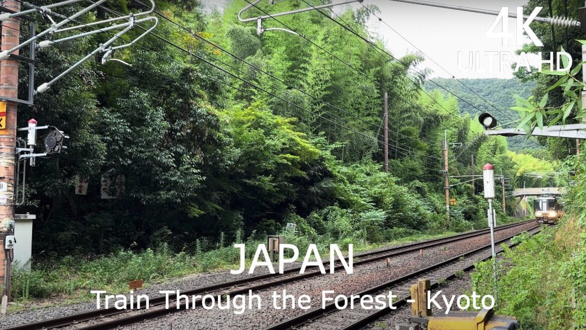 4K Walk Tour – The Passing Train Experience in Kyoto | Japan 4K Walk Tour - The Passing Train Experience in Kyoto | Japan