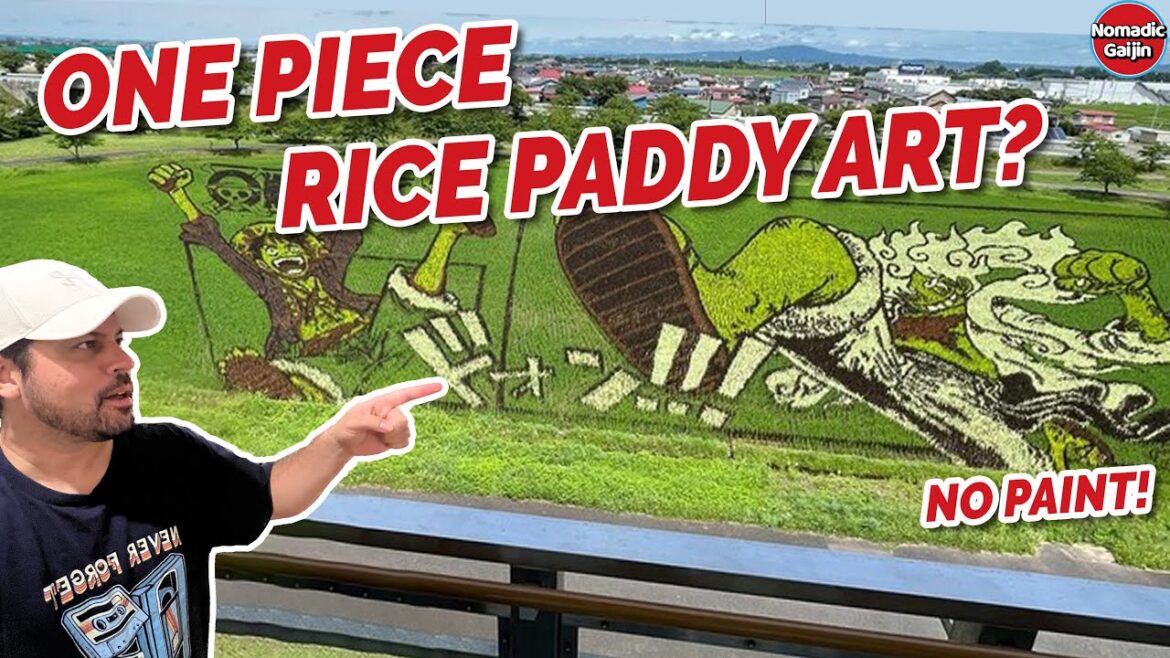 Growing Rice into Art in Japan! Luffy Gear 5 in ONE PIECE Growing Rice into Art in Japan! Luffy Gear 5 in ONE PIECE