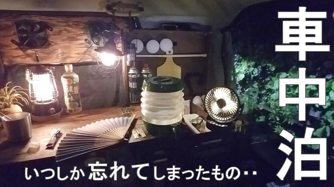 ひとり童心に帰り、夏を感じた車中泊。