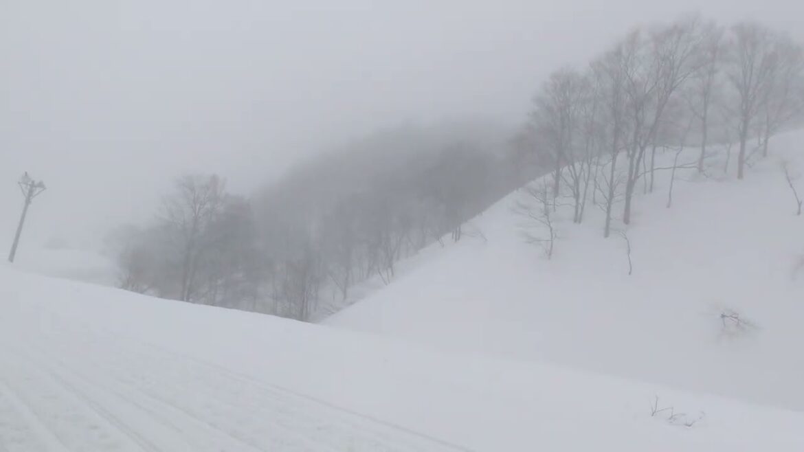 Taking the GALA Yuzawa Snowmobile Sleigh