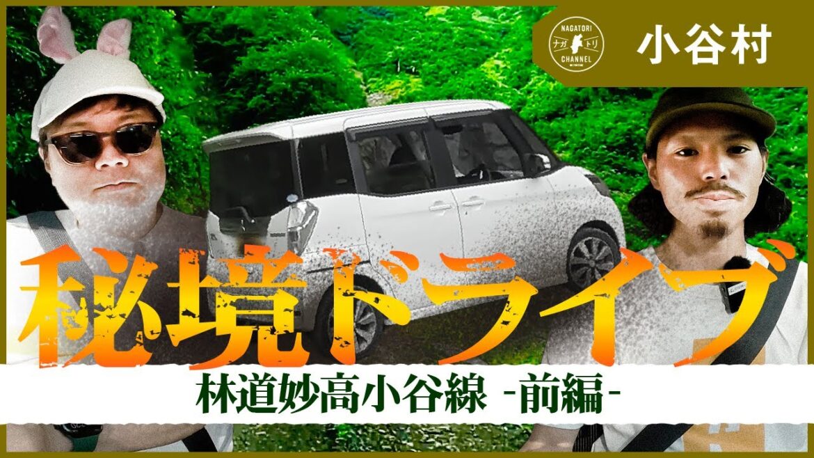 【長野県・小谷村】夏の探検?林道妙高小谷線ドライブ_前編 | ナガトリ 【長野県・小谷村】夏の探検?林道妙高小谷線ドライブ_前編 | ナガトリ