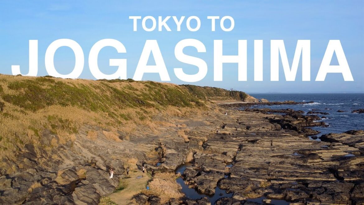 Japan's Hidden Coastline | Tokyo Day Trip