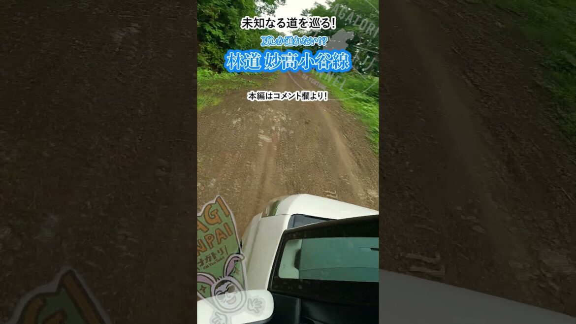 【ナガトリ】夏の探検?林道妙高小谷線ドライブ_前編 #shorts #長野県 #小谷村 #林道 【ナガトリ】夏の探検?林道妙高小谷線ドライブ_前編 #shorts #長野県 #小谷村 #林道