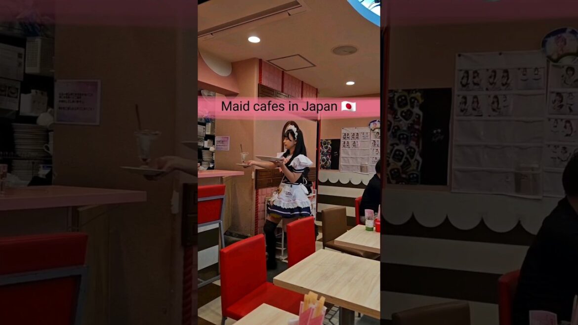 Maid cafes in Tokyo, Japan 🇯🇵🥰 . #shorts