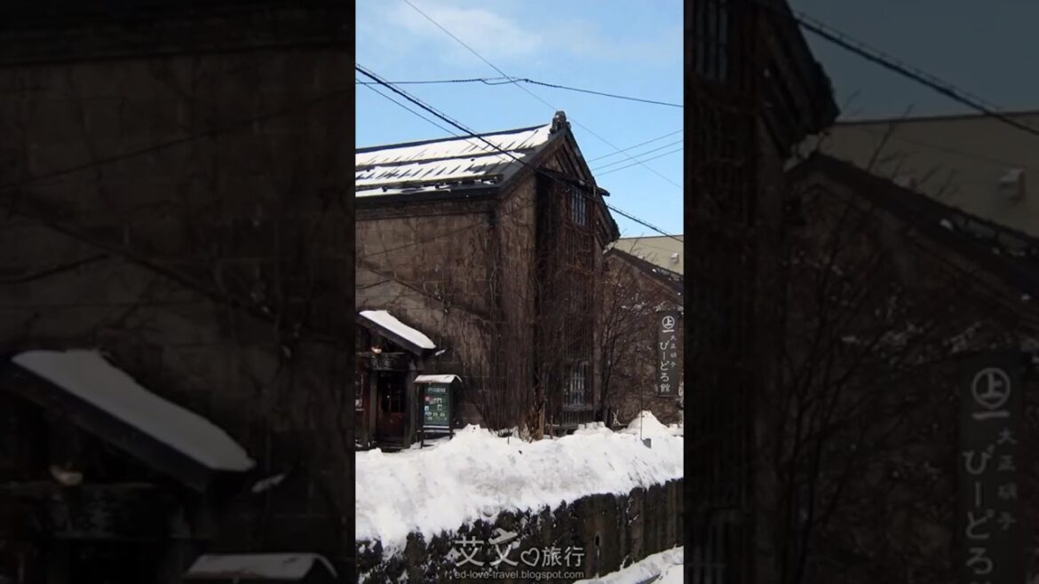 #VLOG 👇🏻#北海道自由行 EP6 #小樽運河 #太平洋 #日本 #Japan #北海道 #Hokkaido #小樽 #Otaru #観光 #旅遊 #旅行 #自由行 #Travel #JR