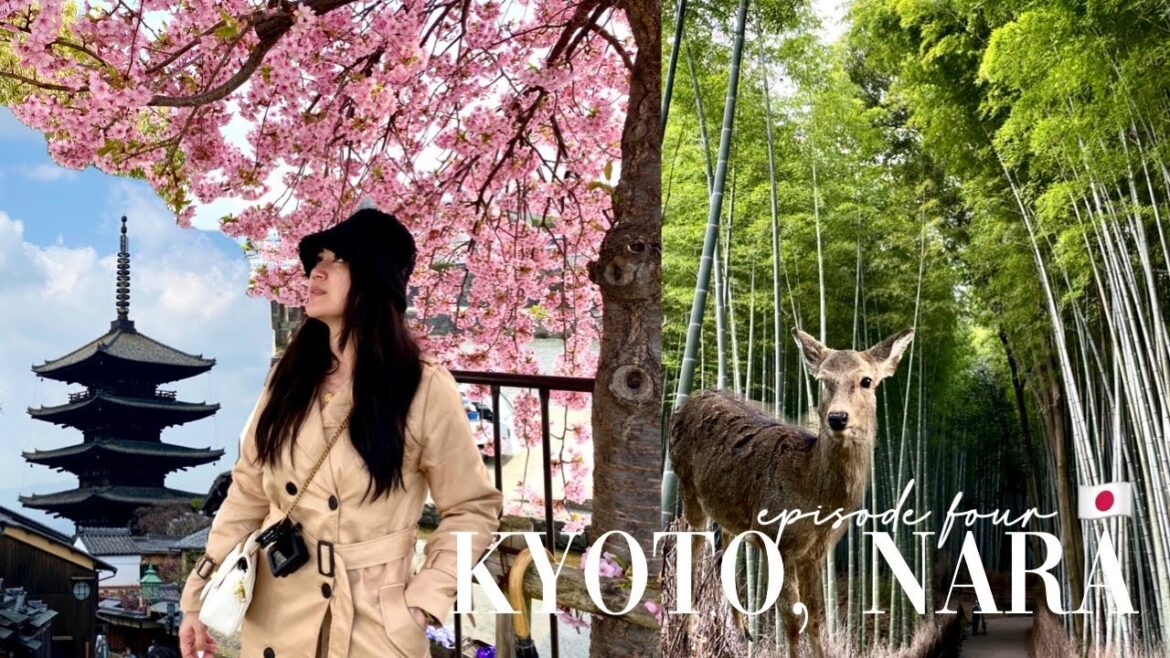 KYOTO & NARA, JAPAN: A Travel Guide | Day Trip from Osaka ⛩️🦌🇯🇵 KYOTO & NARA, JAPAN: A Travel Guide | Day Trip from Osaka ⛩️🦌🇯🇵