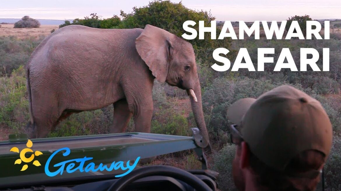 Shamwari | Getaway 2019 Shamwari | Getaway 2019