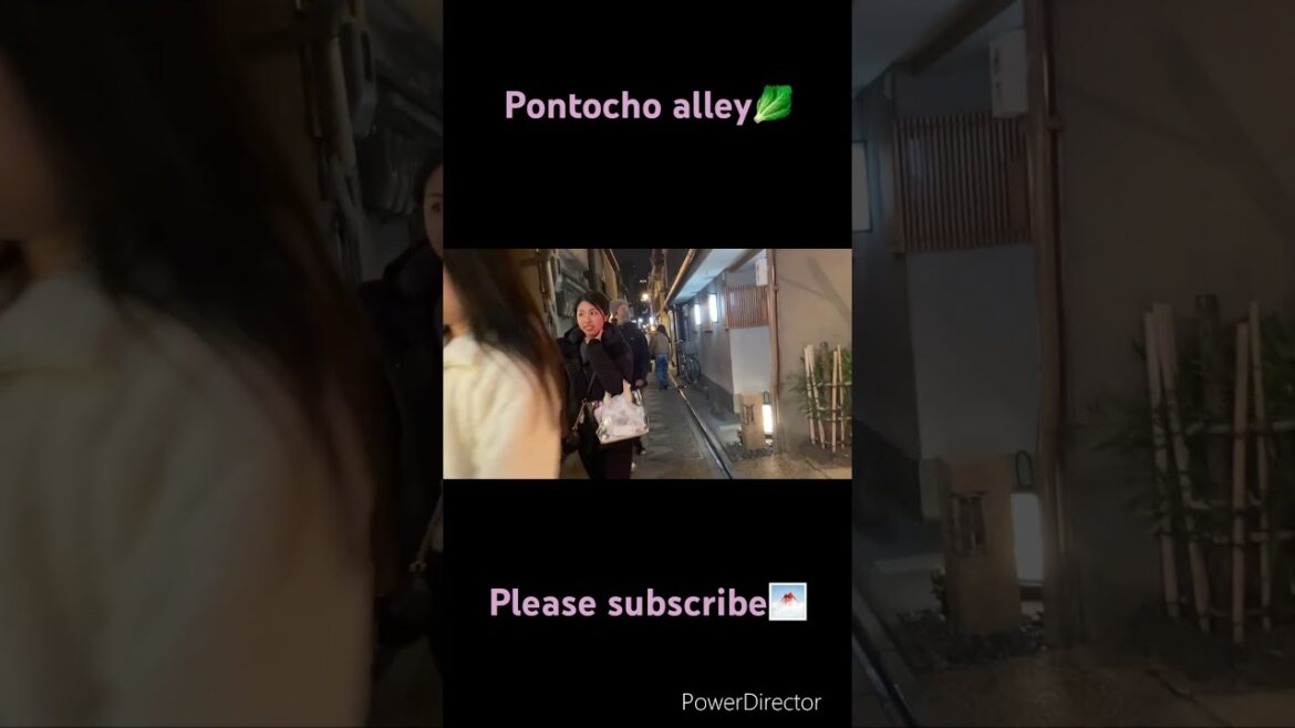 【KYOTO 】Pontocho alley #kyoto #shorts #japan #travel #walking #pleasesubscribe #Gion 【KYOTO 】Pontocho alley #kyoto #shorts #japan #travel #walking #pleasesubscribe #Gion