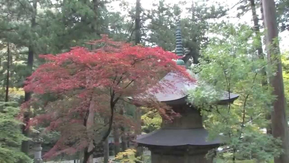 Japan November 2013 met Anders Dan Anders Japan November 2013 met Anders Dan Anders