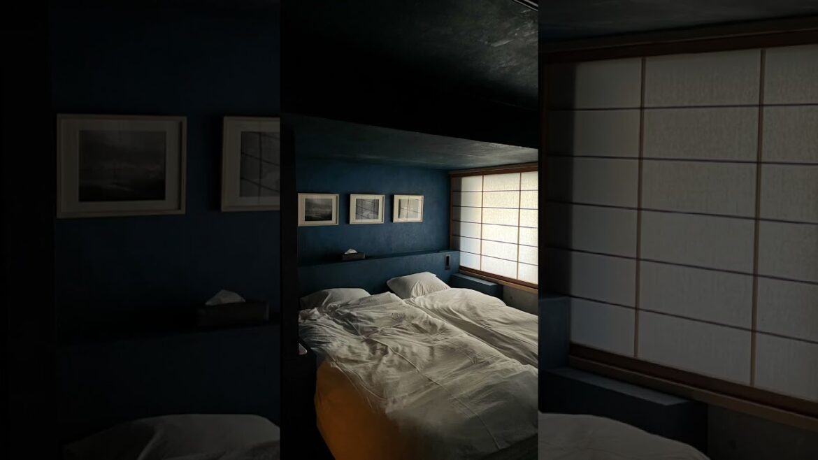 Delta Stay, our rental house in #kyoto