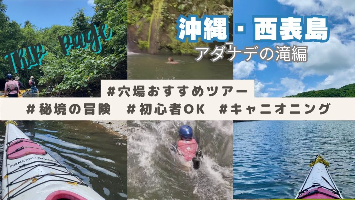 西表島でどう過ごす？｜モデルプラン１日ツアー｜キャニオニング｜秘境独り占め