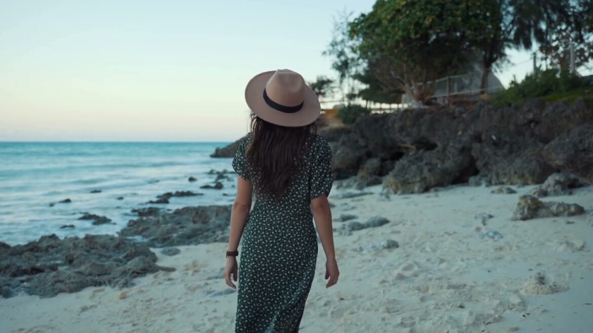 Journeys Beyond Horizons: Scenic Drives of the World