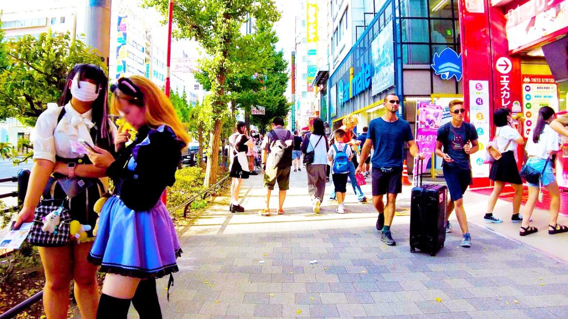 Akihabara in Tokyo 🐶🍻Refresh in Anime Town♪💖4K ASMR non-stop 1 hour 8 minutes Akihabara in Tokyo 🐶🍻Refresh in Anime Town♪💖4K ASMR non-stop 1 hour 8 minutes