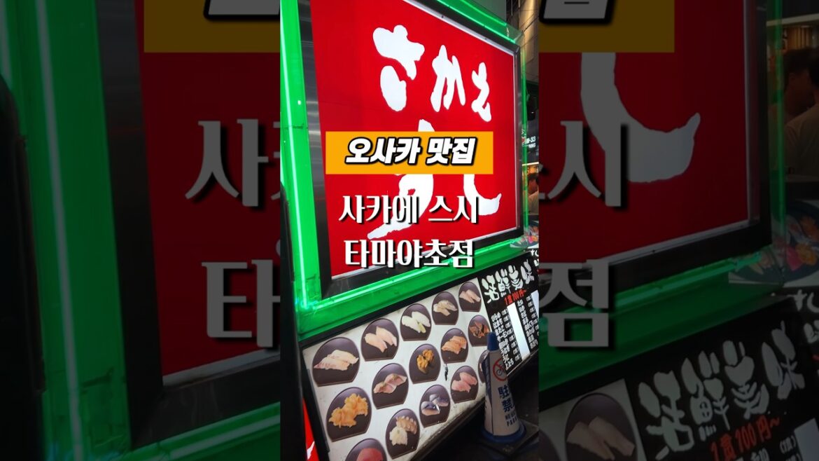 오사카 여행 추천 맛집 l 사카에 스시, 오사카 난바 원탑 스시🍣
