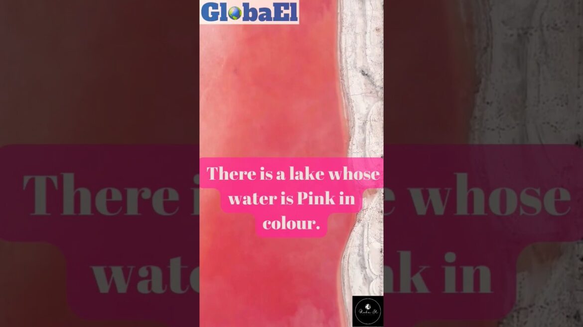 Planet Puzzels : Pink Lake #travelquiz #shorts #trivia #ytshorts #GlobaEL
