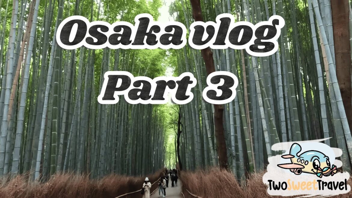 Osaka 大阪 🎌 Part 3 Travel Vlog | USJ, Arashiyama Bamboo, Fushimi Inari Taisha, Osaka Castle, FRANKEN Osaka 大阪 🎌 Part 3 Travel Vlog | USJ, Arashiyama Bamboo, Fushimi Inari Taisha, Osaka Castle, FRANKEN