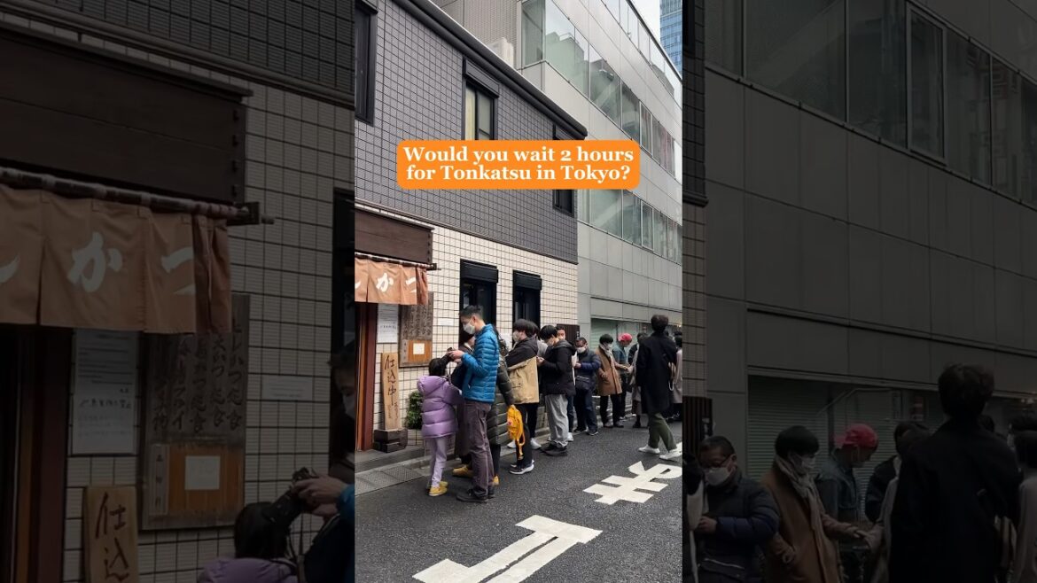 Would you wait 2 hours for Tonkatsu in Tokyo, Japan? #tonkatsu #japanesefood #tokyofood #michelin Would you wait 2 hours for Tonkatsu in Tokyo, Japan? #tonkatsu #japanesefood #tokyofood #michelin