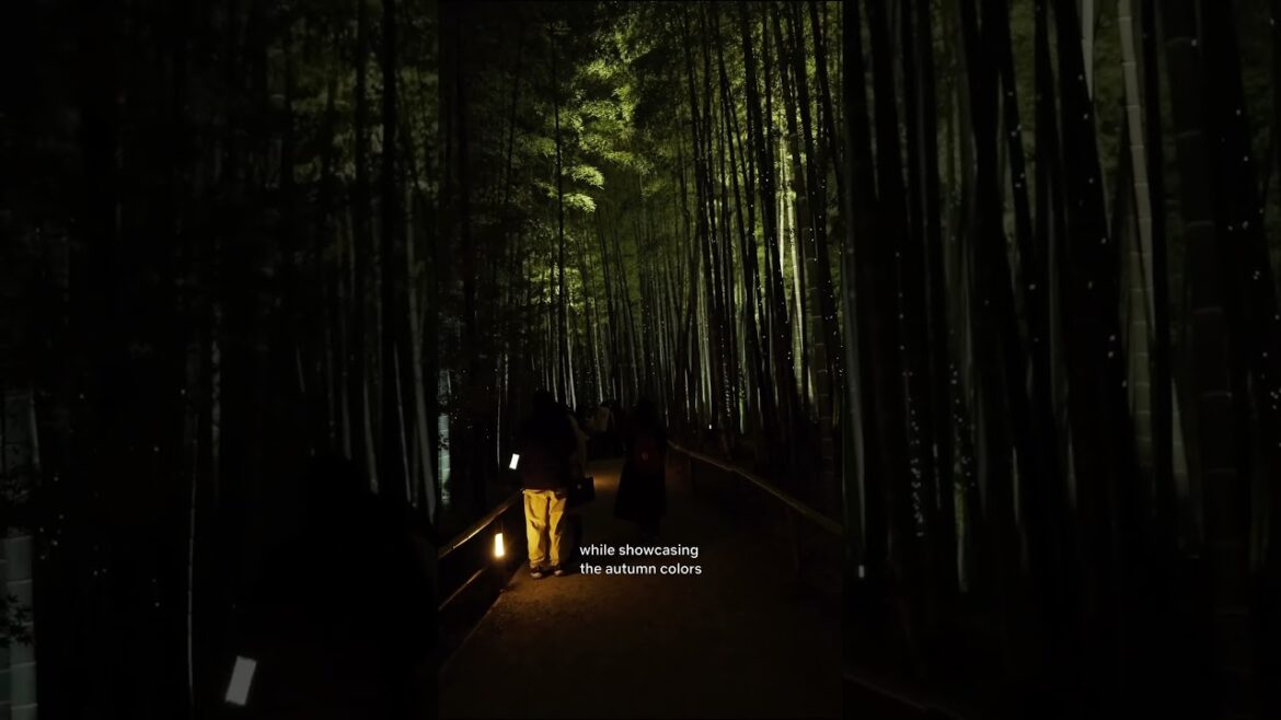 Night illumination at Kodai-ji temple in Kyoto