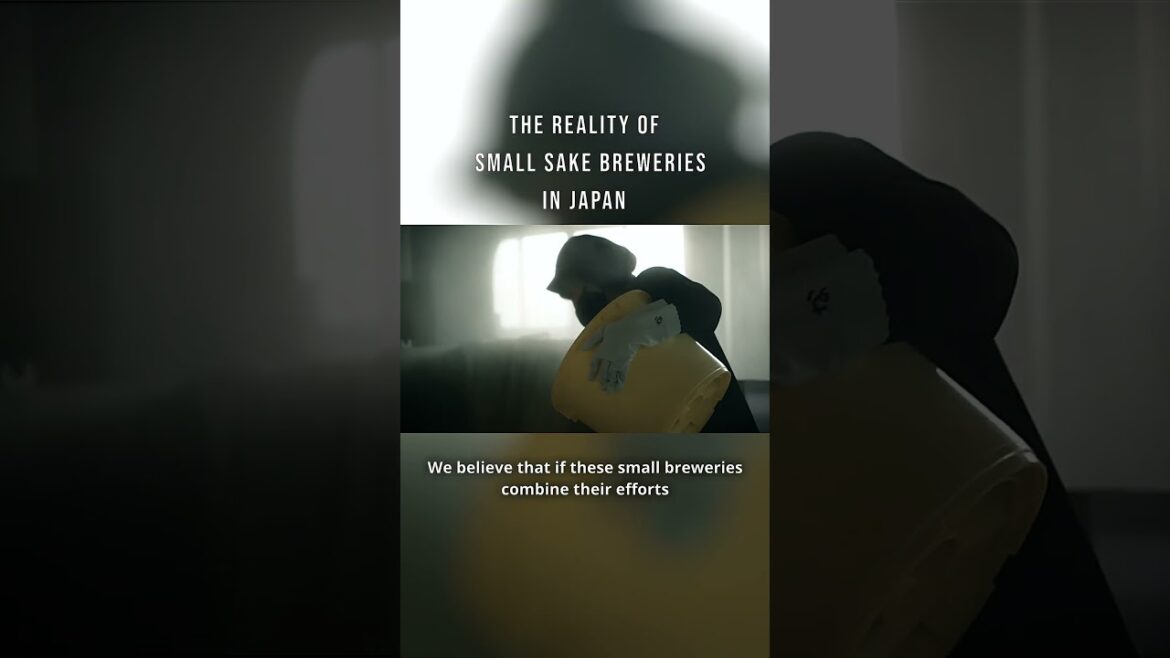 The reality of small sake breweries in Japan #sake #kurashiki #okayama The reality of small sake breweries in Japan #sake #kurashiki #okayama