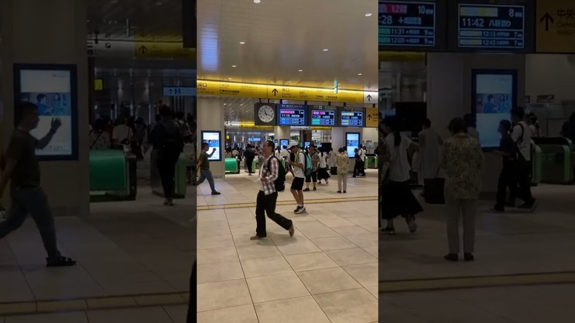 539 Chiba Station, Chiba