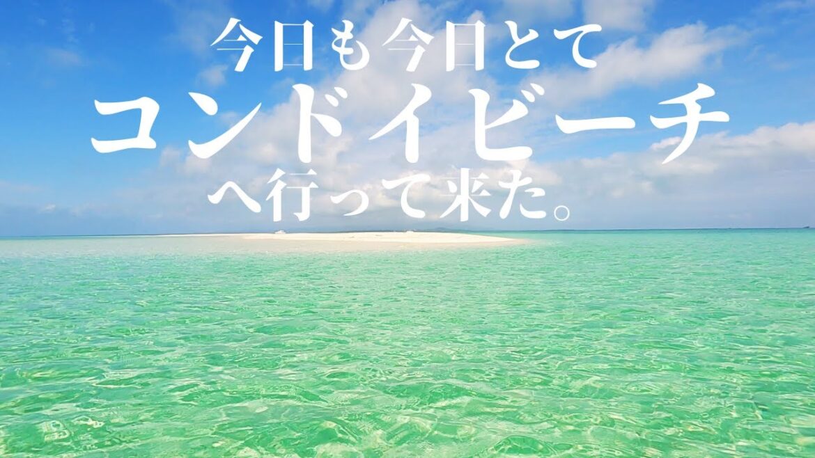 いつ行っても美しいコンドイビーチ♪ 第 393 話 いつ行っても美しいコンドイビーチ♪ 第 393 話