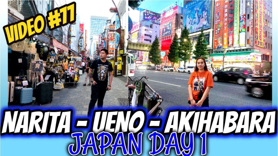 Immigration Process to Japan | Cheap Shoes in Ueno | Yakiniku Like in Akiba - JAPAN DAY 1