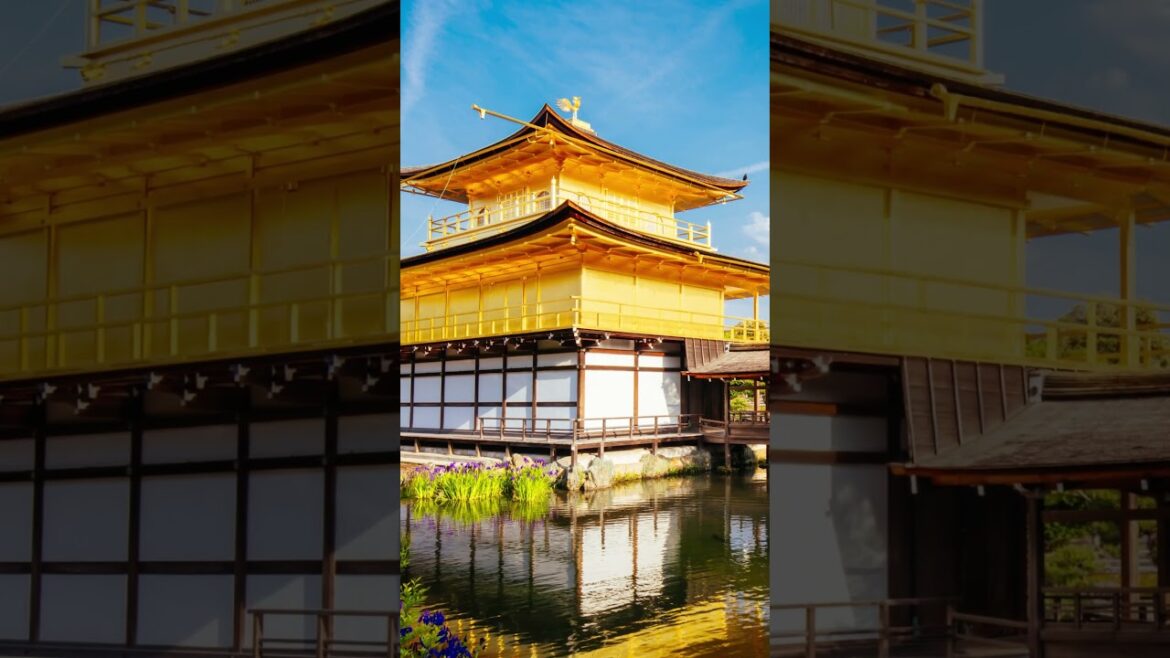 Kyoto Japan #Shorts #YoutubeShorts #travel #travelguide #interestingplaces #nature #travelvlog