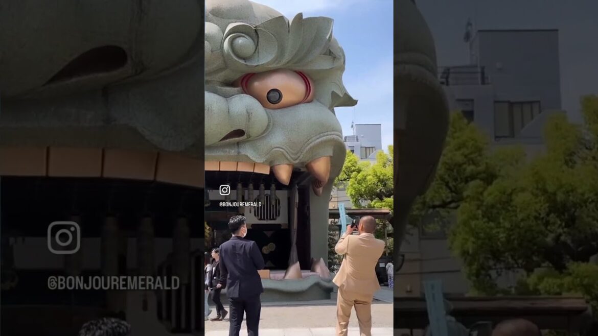 #SpringinOsaka! #Japan #cherryblossom Check out my travel vlog on #Osaka