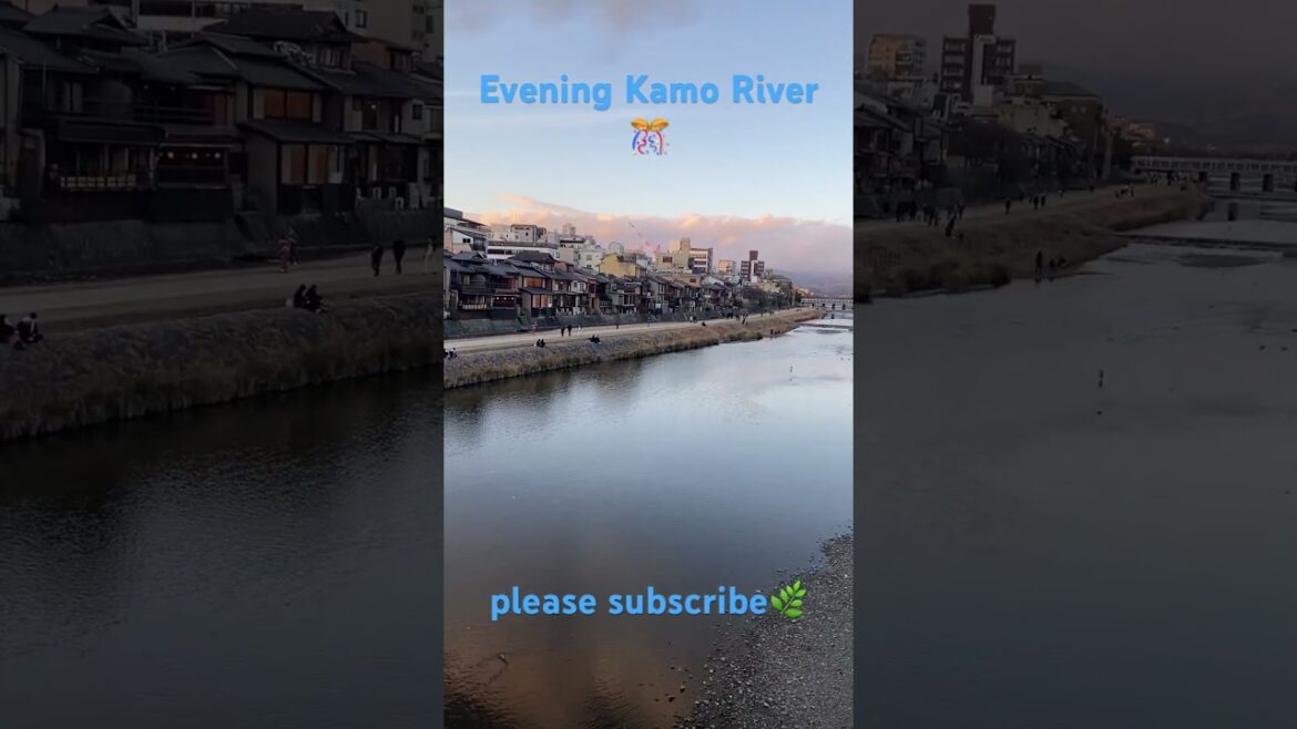 【KYOTO 】Kamo River #shorts #japan #travel #pleasesubscribe #walking #trip #sightseeing #Gion 【KYOTO 】Kamo River #shorts #japan #travel #pleasesubscribe #walking #trip #sightseeing #Gion