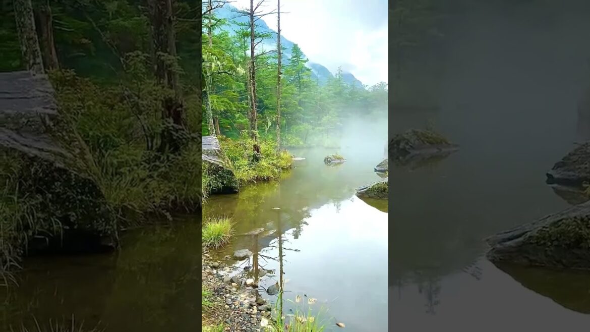 【JAPAN】Mysterious Mood with Fog at Myojin Pond, Kamikochi