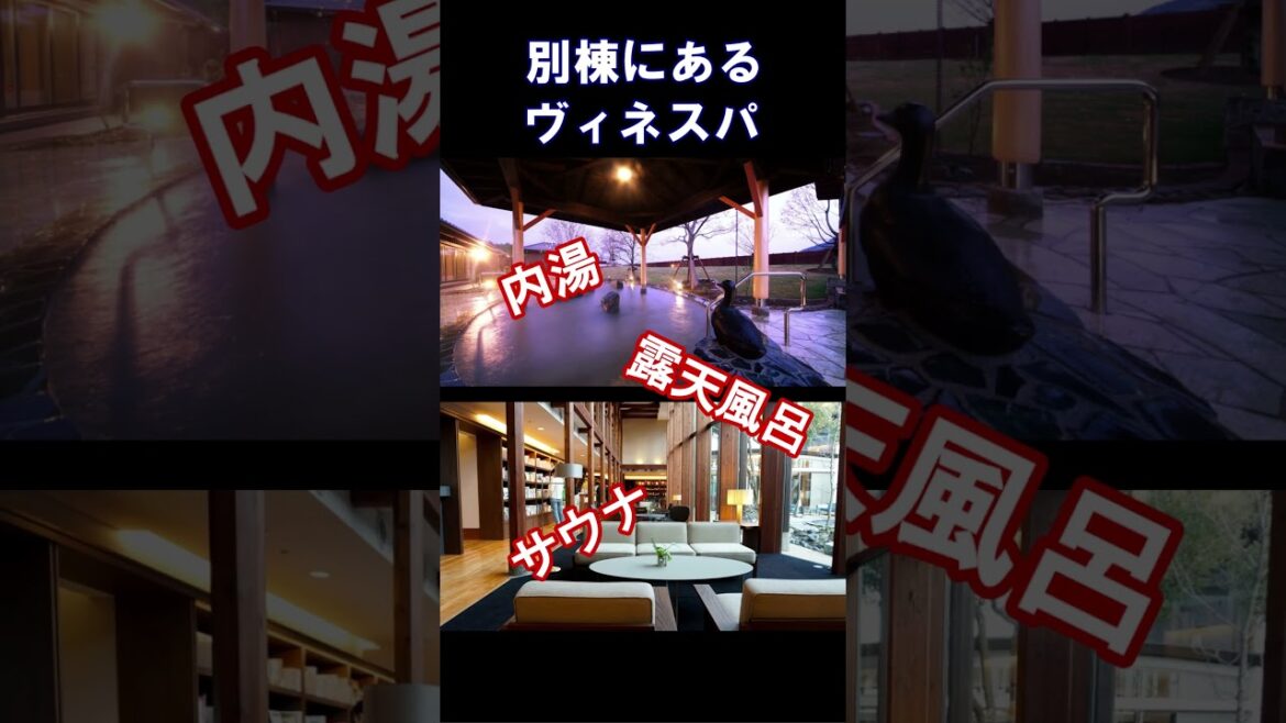 新潟旅行や観光におすすめ温泉旅館＆ホテル3選！ #shorts #新潟県 #新潟旅行 #新潟ホテル #新潟旅行 #新潟温泉 #新潟観光 #月岡温泉 #温泉