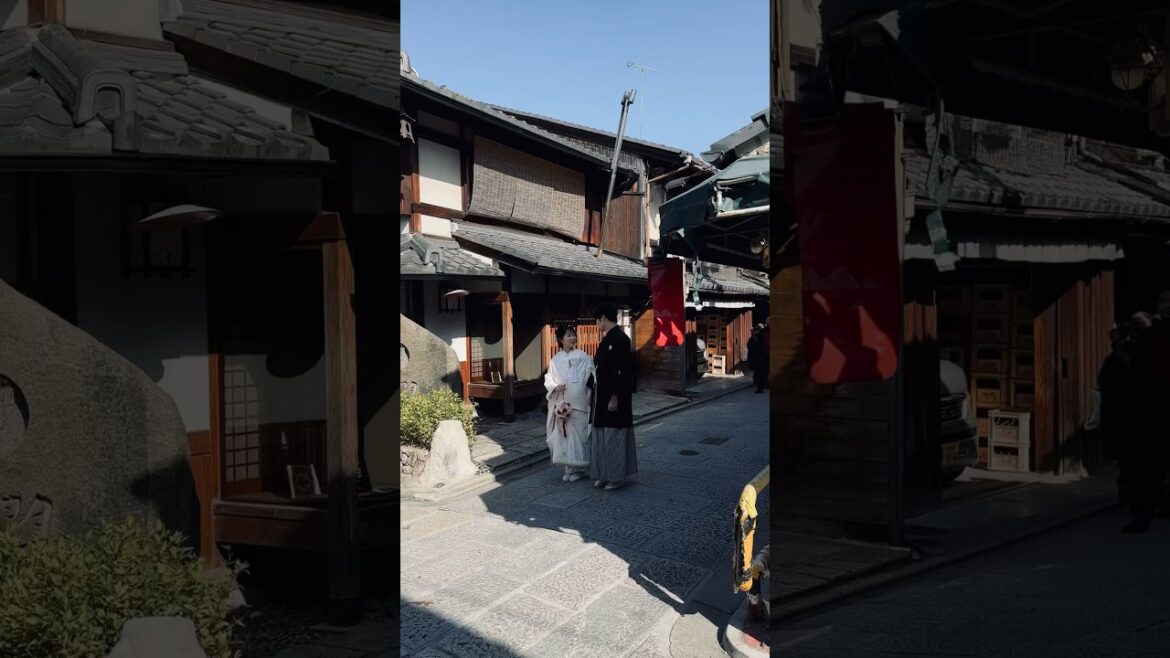 Traveling with someone special is one of the best feeling. 😊 #kyoto #japan #2023 #travel #shorts