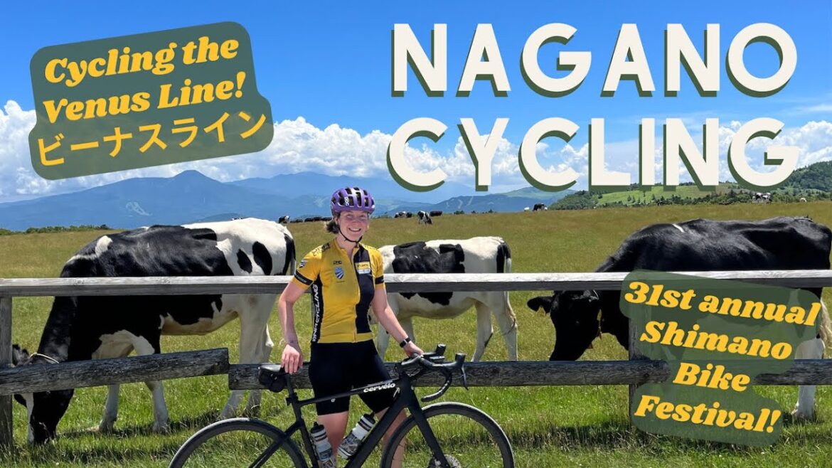 Cycling the Highlands of Japan (美ヶ原) Venus Line & Shimano Bike Festival in Nagano 🚲 長野県ビーナスラインサイクリング