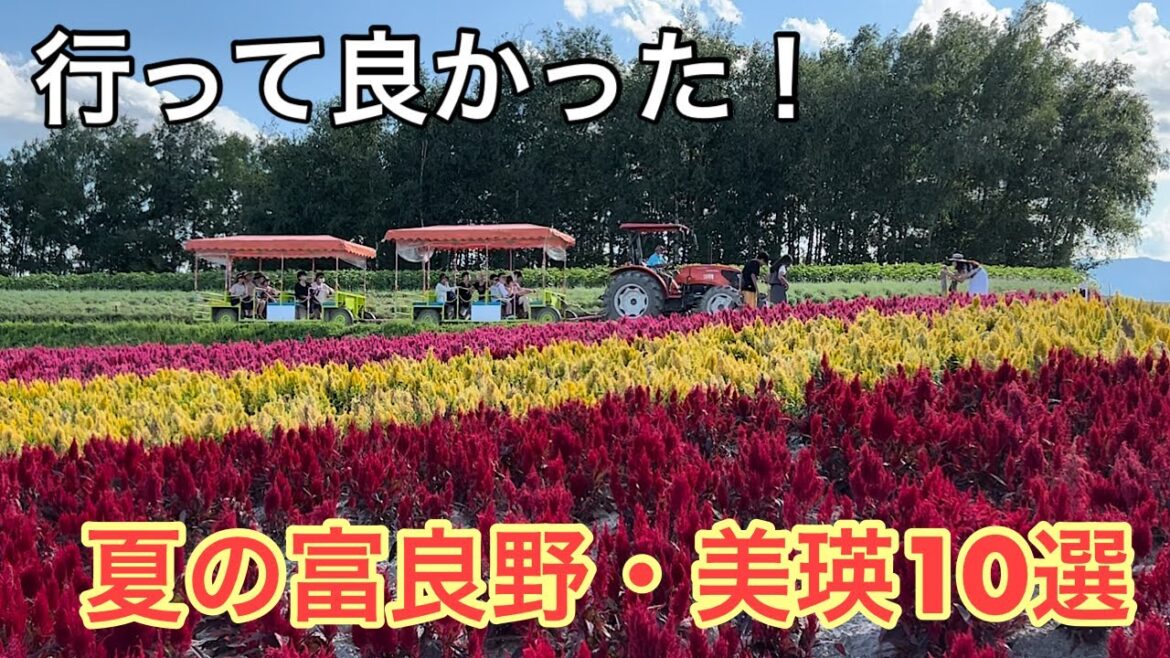 北海道⑱　夏の富良野・美瑛10選