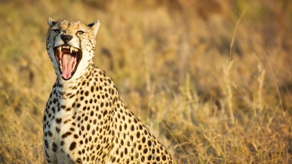 Unveiling the Must-See Destinations: Top 10 for 2023 Unveiling the Must-See Destinations: Top 10 for 2023