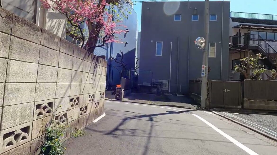 【JAPAN 4K】Cycling Tour from Kumanocho to Ikebukuro【TOKYO 東京】 【JAPAN 4K】Cycling Tour from Kumanocho to Ikebukuro【TOKYO 東京】