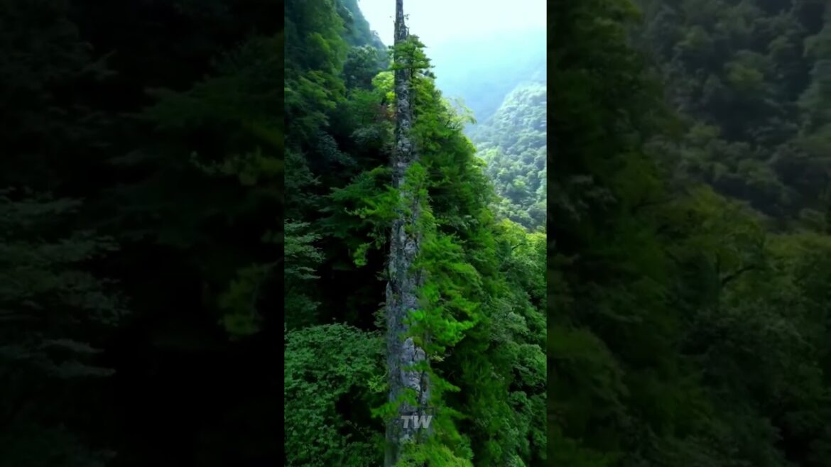 Unbelievable Visuals😍 PART 3😍 #shorts #tiktok #travel #reels #vacation