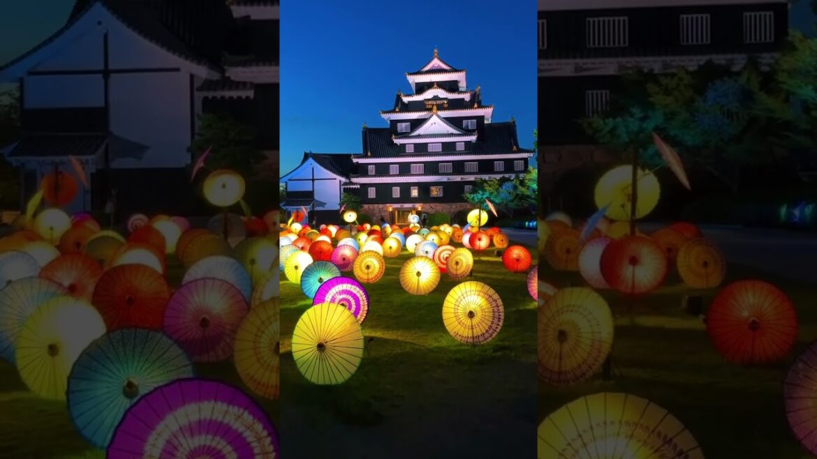 Japan Travel Guide: This is Okayama Castle #japan #travel