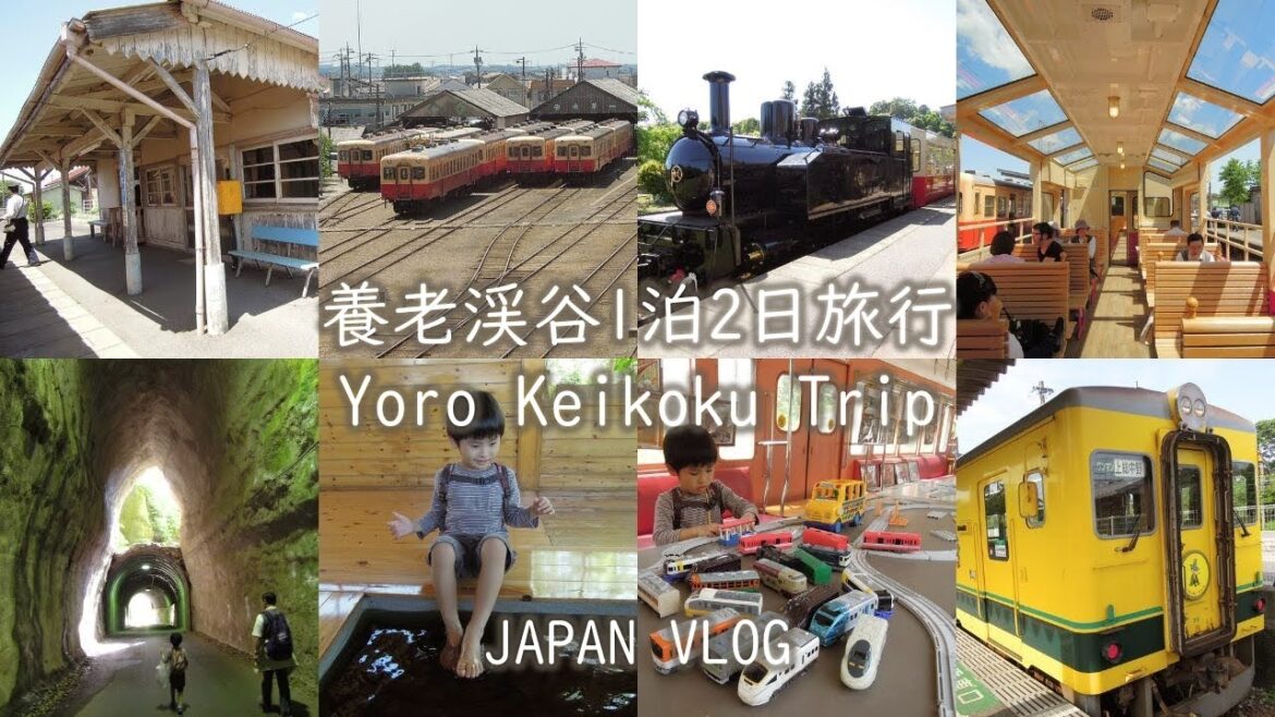 日本Vlog | 千葉県養老渓谷1泊2日旅行 鉄道で房総半島横断の旅 Yoro Keikoku 2 Days Trip | Chiba Japan