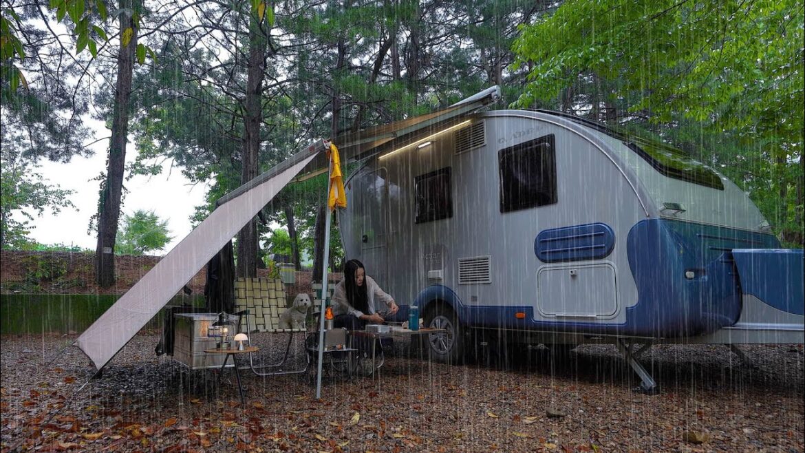 비내리는 조용한 숲 속, 아늑한 카라반과 작은 화목난로 | 카라반 셀프 카페트 시공 | 떡볶이, 육전 + 막걸리